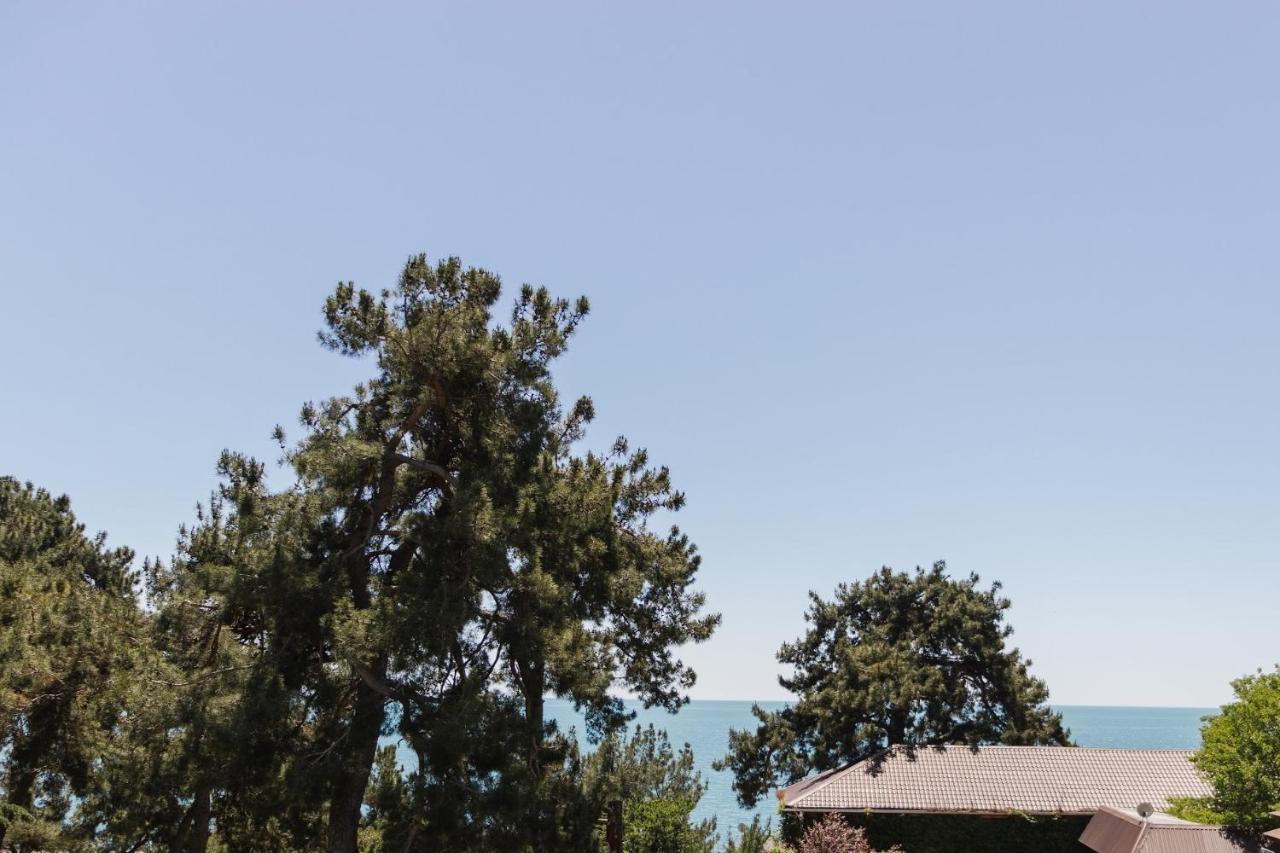 Lidzava Hotel Talion, Pitsunda מראה חיצוני תמונה